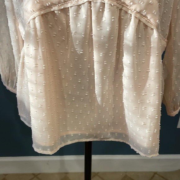 Loft Light Apricot Small Lined Blouse - Picture 3 of 9